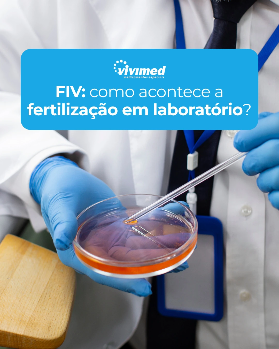 Explicação visual sobre a fertilização em laboratório.